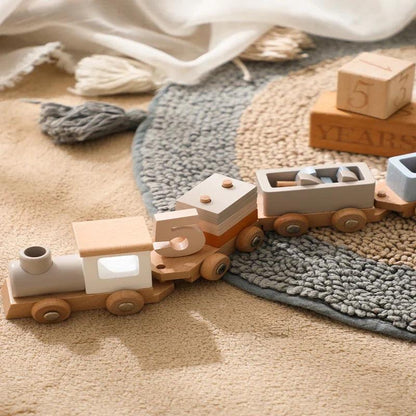 Montessori Wooden Train Set