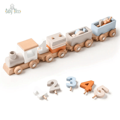 Montessori Wooden Train Set